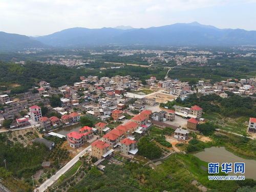 城投公司助力乡村振兴，新模式、新路径、新案例