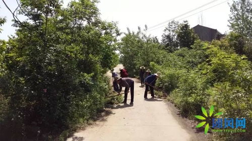 乡村建设，脚踏实地，从实际出发的探索与实践