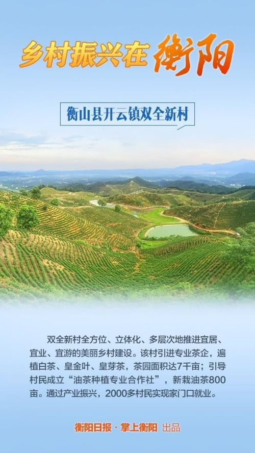乡村振兴，共绘美丽乡村新画卷—多措并举推进乡村振兴发展之路