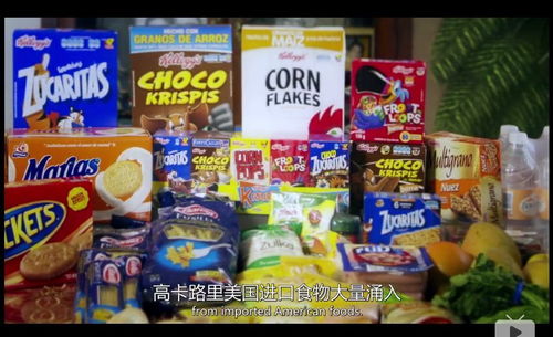 盘点那些便宜又高营养的零食品牌，让你健康享食无忧！
