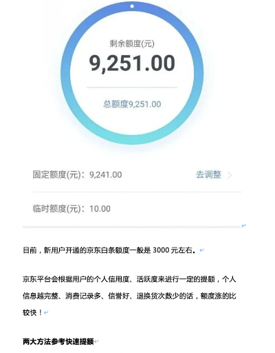 探索上海黄浦区白条提现的额度奥秘