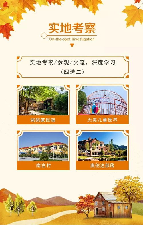 组织部如何巧手布局，助力乡村振兴战略实施