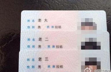 个人户籍怎么查?个人户籍查询全攻略，轻松找到你的根