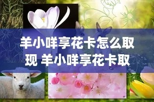 羊小咩享花卡提现全攻略