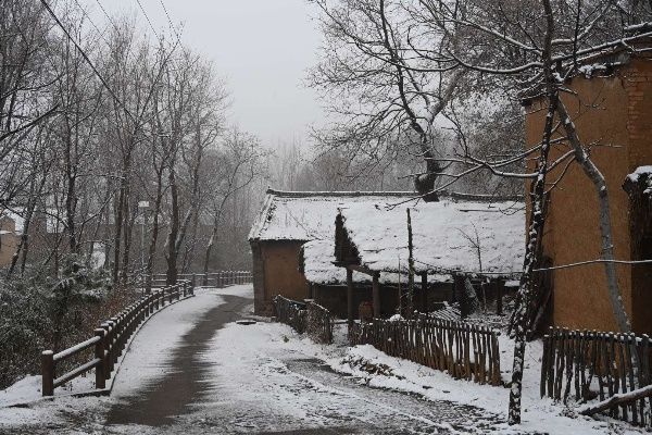 乡村雪景视频拍摄攻略，捕捉冬日里的诗意瞬间