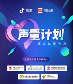 探索德阳的抖音月付提现奥秘