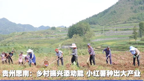 贵州省如何玩转乡村产业，打造乡村振兴新引擎