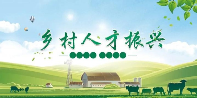 乡村振兴杯参赛指南，如何挑选合适的人才加入我们的队伍