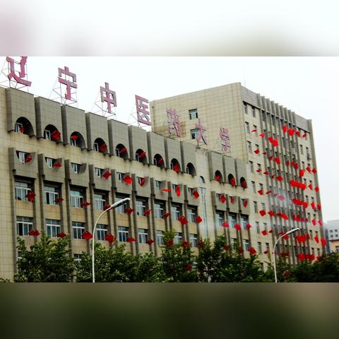 沈阳中医加盟店品牌推荐及案例分析