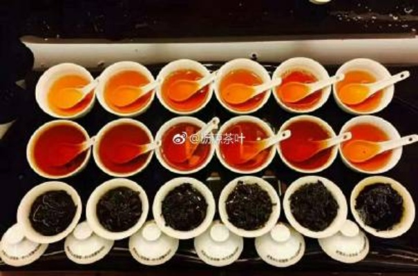 茶掌柜，探寻源自福建安溪的茶叶传奇