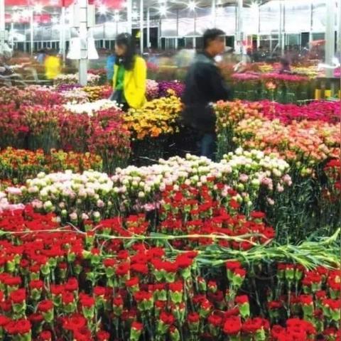 云南热门卖菜加盟店品牌推荐