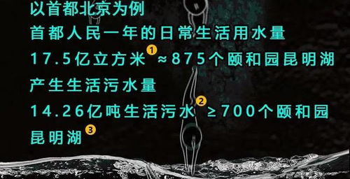 揭秘苏州白条秒回的神秘面纱