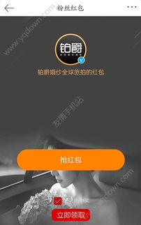 白条扫码取现 白条扫码取现，轻松便捷的现金获取新方式