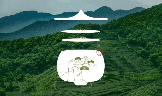 打造独具特色的武夷茶叶品牌设计全案—从理念到视觉呈现