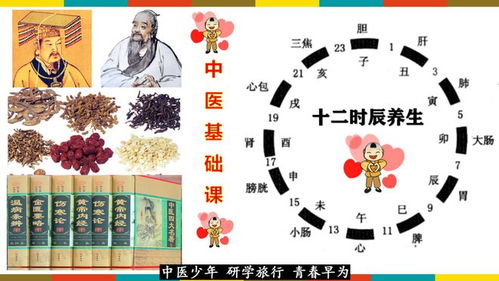探索中医药的奥秘—体验传统与现代的完美融合