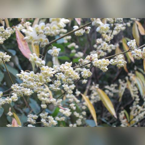 福州茶叶店品牌加盟推荐
