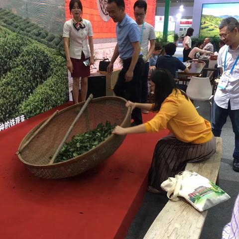 福州茶叶店品牌加盟推荐