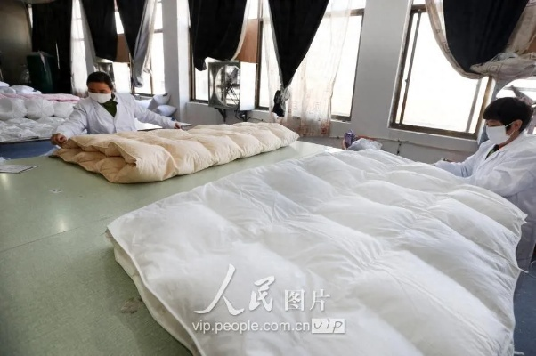 三门峡的温暖守护—探寻当地鸭绒被制作技艺