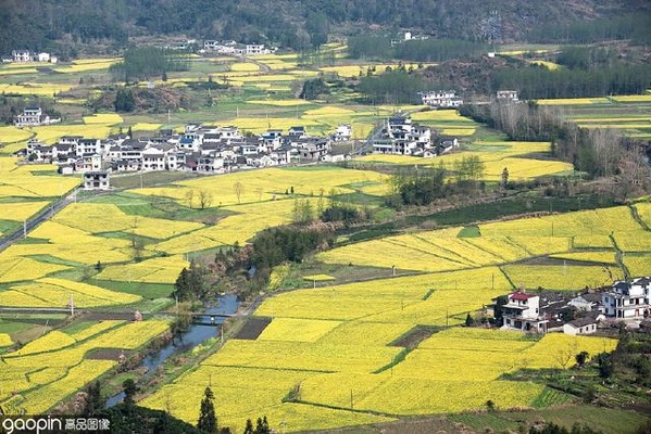 魅力四射的乡村田园风光，一幅活色生香的乡村画卷