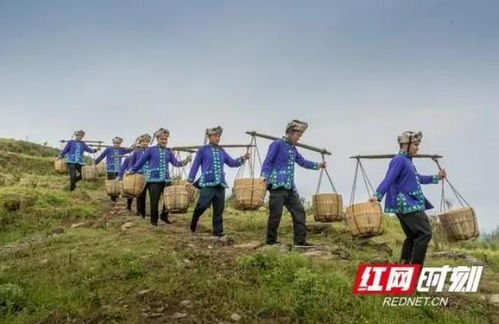 福建户外运动品牌的魅力之旅