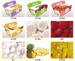 山东辅食加盟品牌店推荐及案例分析