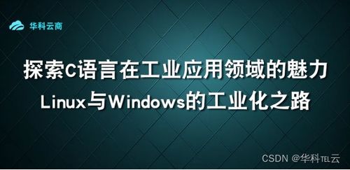 打造个性化广告体验，探索C+在广告网站中的应用