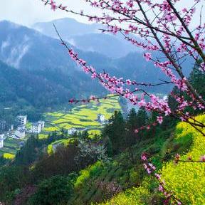 如何绘制一幅迷人的乡村田园风景画—步骤详解与案例分享