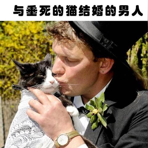 德国便宜且有效的兽医药品品牌