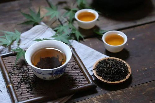 北美奶茶市场中的茶叶品牌大盘点