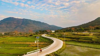 乡村高质量发展之路，如何走出一条特色发展道路