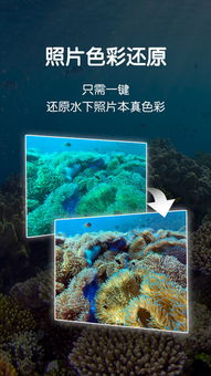 2023年新款潜水电脑品牌盘点，专业与时尚的完美结合
