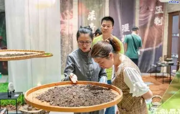 探秘致良茗茶，一个传承与创新并重的茶叶品牌故事