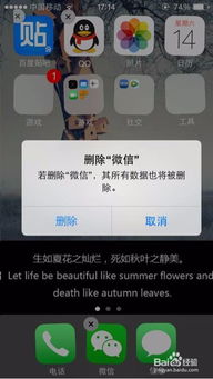 微信漫游聊天记录怎麼查看,轻松探索微信漫游记录，如何查看与管理