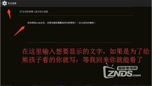 手机KK如何轻松开启你的直播间—新手必看教程