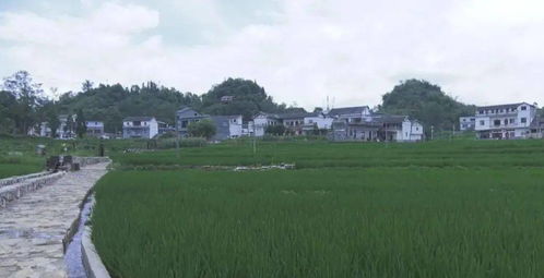 乡村振兴示范点打造攻略，如何选点、建设与推广