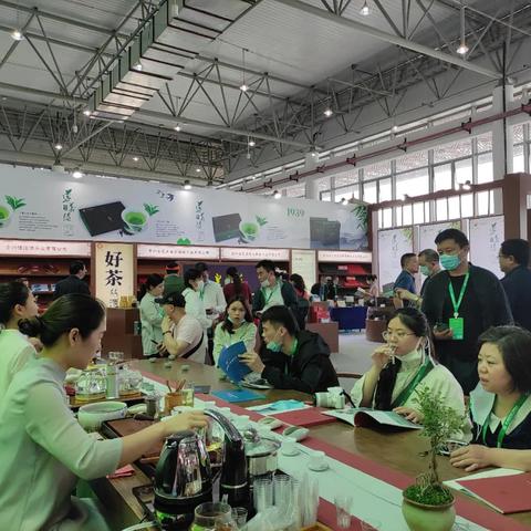 探寻高端茶叶品牌，品味非凡，尽享茶香四溢