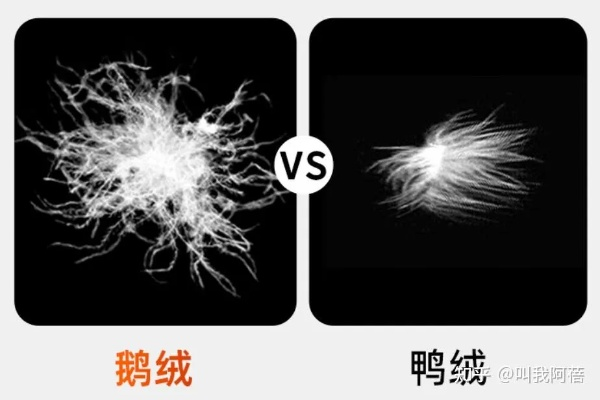 鹅绒加鸭绒被，优劣对比与选购指南