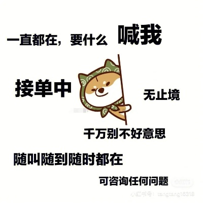 24小时在线接单的顶级技术