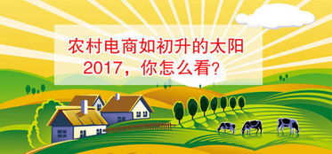 乡村电商，小村庄里的大市场变革之路