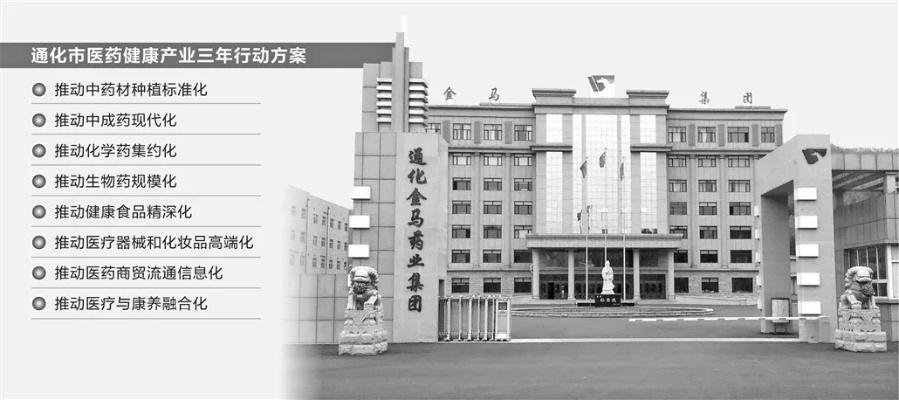 探索通化医药品牌的魅力之旅