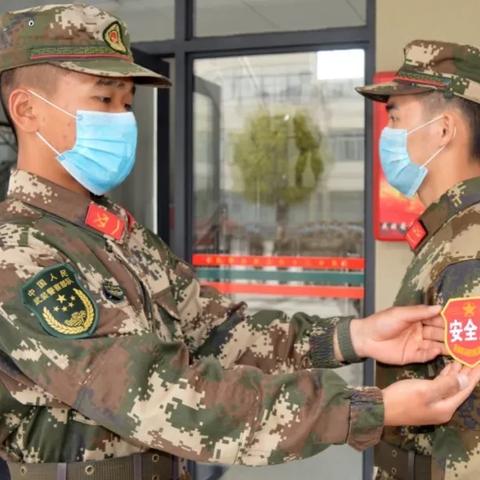 品牌检标，车柜界的守护神—揭秘品牌车柜的独特魅力