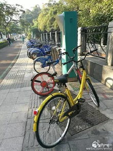 小黄车品牌，共享单车的领军者