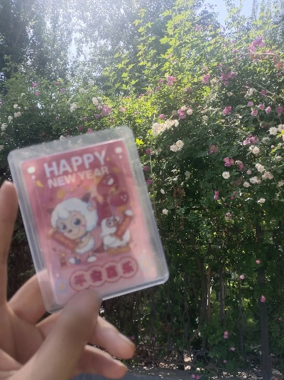 上羊小咩享花卡套出来