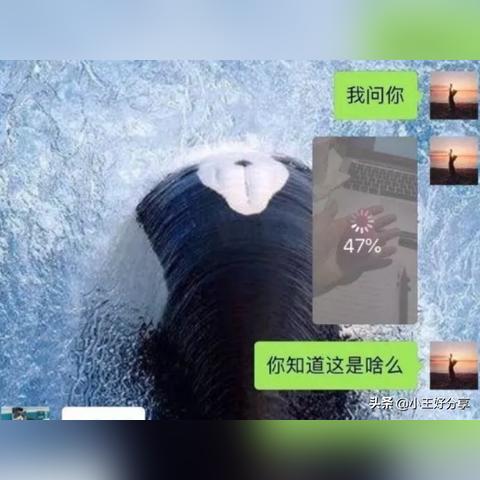 揭秘微信聊天记录，我能查我男朋友的吗？