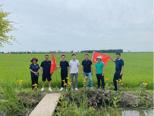 破解乡村空心化难题,让乡村焕发新活力