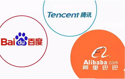轻松取消白条取现，让财务更清晰