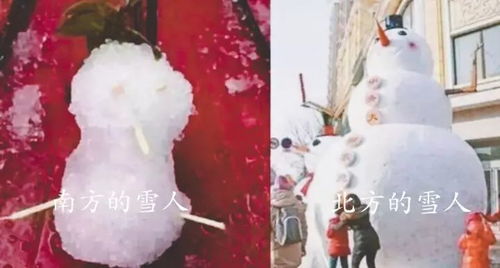 鸭绒被与棉花被大比拼，谁才是冬日里的温暖守护者？