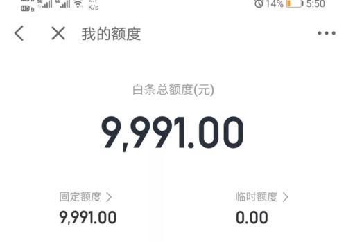 2018白条提现秒到账，你的财务小能手