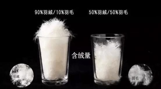 几百块的鸭绒被，性价比高不高？一文揭秘！