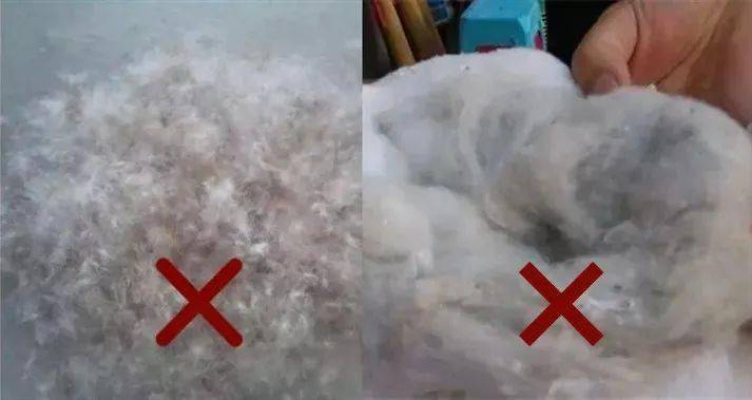 几百块的鸭绒被，性价比高不高？一文揭秘！